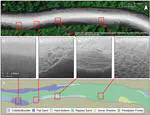 PING‐Mapper: Open‐Source Software for Automated Benthic Imaging and Mapping Using Recreation‐Grade Sonar